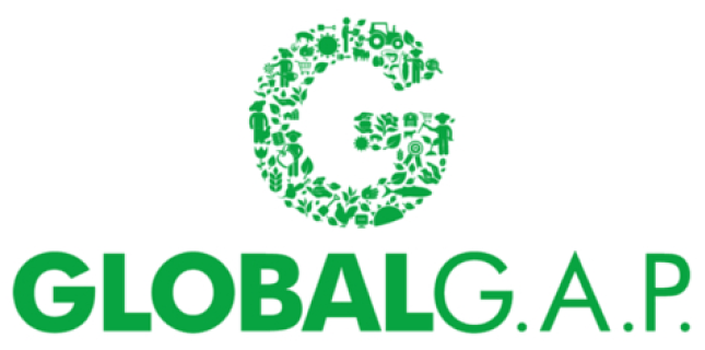 Global GAP Logo. Illustration