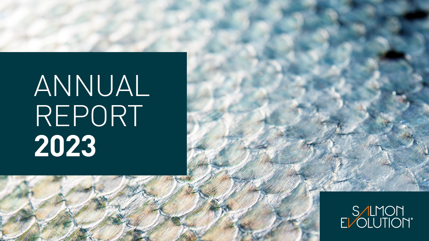Integrated annual report 2023. Illustration