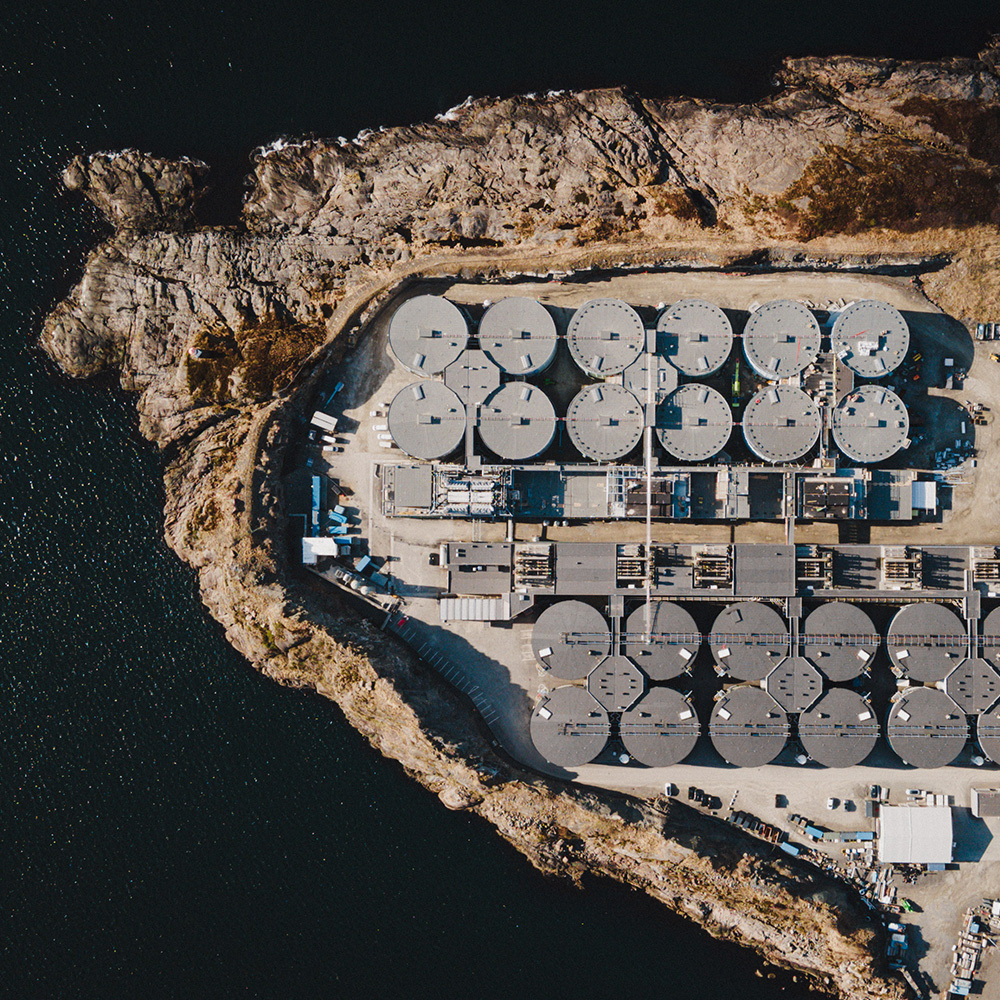 Salmon Evolution, Indre Harøy, April 2026. Photo